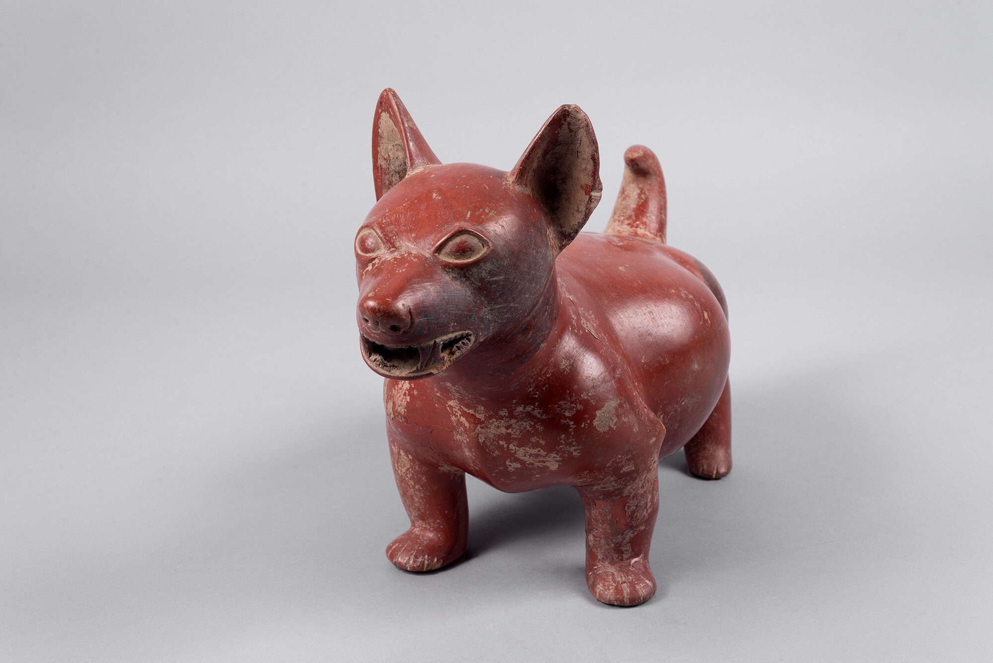 Colima Mexico. Dog, ca. 200 BCE – 200 CE. Ceramic, 10 1/2 x 7 1/2 x 16 in. Gift of The Ted Weiner Family 2022.134