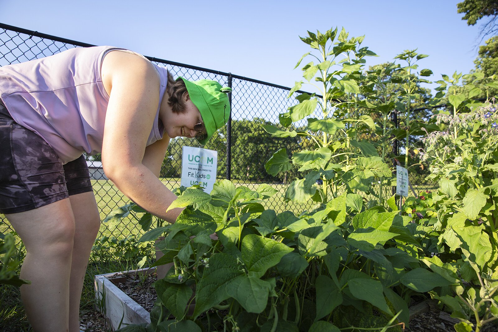 Youth participant Lucy Krug works in the Youth Mentor Garden at Marquette Park in Wyoming, Mich.